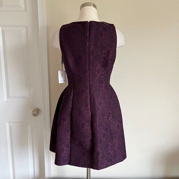 Calvin Klein Aubergine Purple Lace Brocade Fit & Flare Dress | Size 10 NWT - Picture 3 of 9